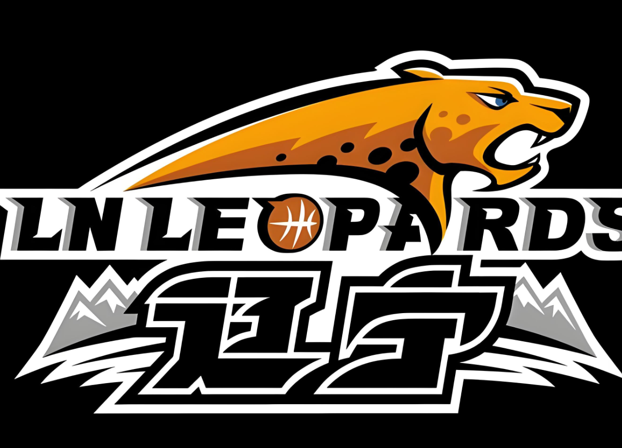 开云体育下载APP-辽宁队好消息！接下来进入甜蜜期，有望收获4连胜